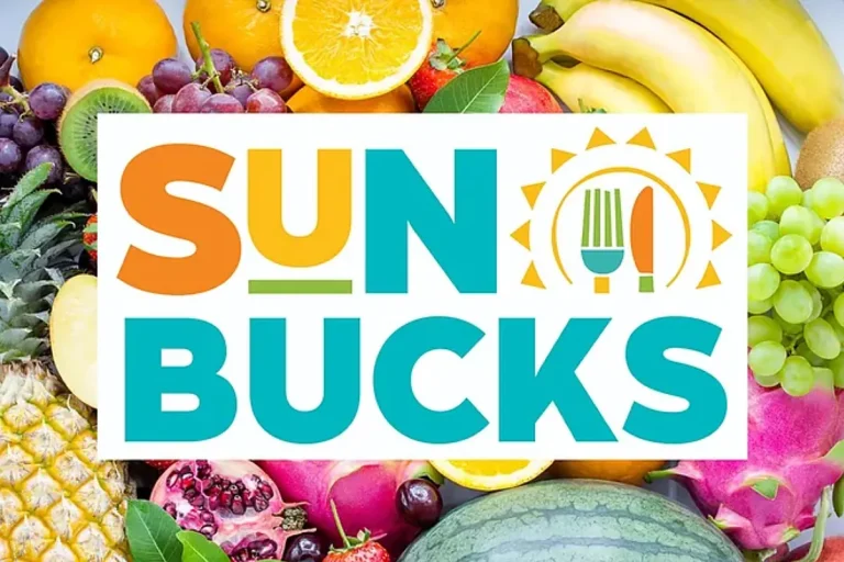 Summer season Meals Coupons 2025: The place Will Your Deposit Be Despatched This 12 months? – MARCA