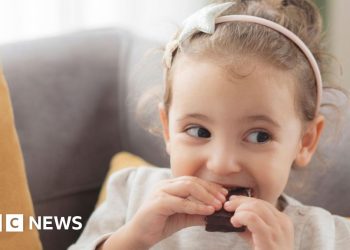 Chocolate worth rises hit document as meals prices develop