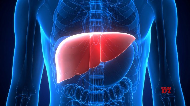 Examine reveals how plastic particles in meals, drinks can hurt your liver
