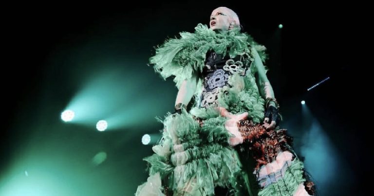 Shirley Manson ‘would not care’ if she is cancelled, Leisure Information