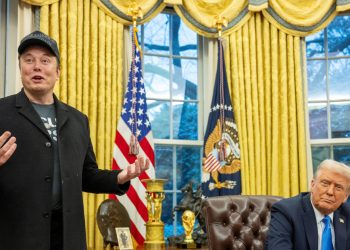 Shocked and out of presidency, Elon Musk seems as an issue for Trump’s White Home