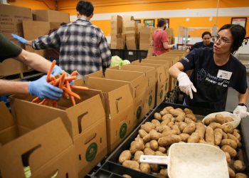 Meals Stamps at Danger in Trump Price range Invoice, Bay Space Meals Banks Warn