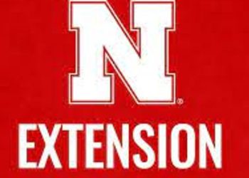 Nebraska Extension shares suggestions for meals security in sizzling climate