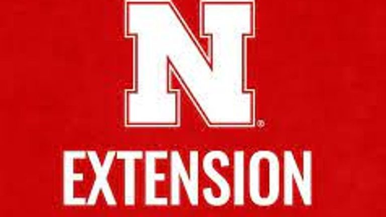 Nebraska Extension shares suggestions for meals security in sizzling climate