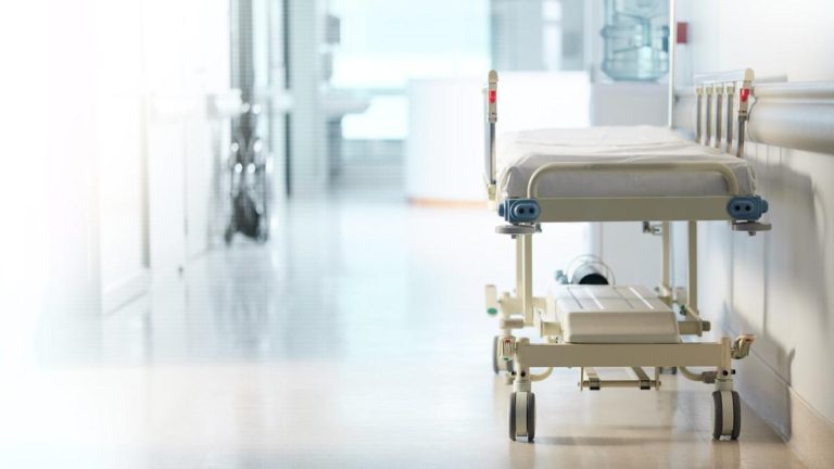 Novant Well being to assemble hospital in South Carolina, US