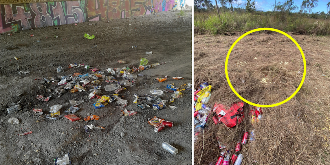 Weird pattern emerges in Aussie metropolis as $400 value of unopened meals present in bush