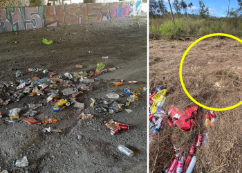 Weird pattern emerges in Aussie metropolis as $400 value of unopened meals present in bush