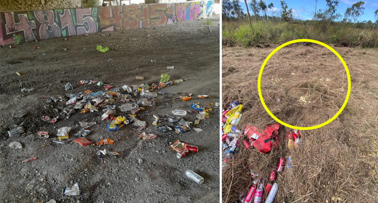 Weird pattern emerges in Aussie metropolis as $400 value of unopened meals present in bush