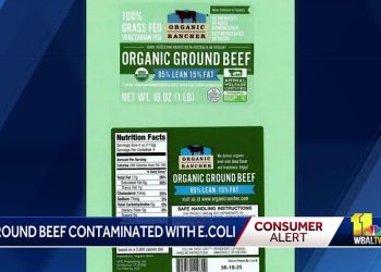 Well being alert issued for floor beef product – Yahoo