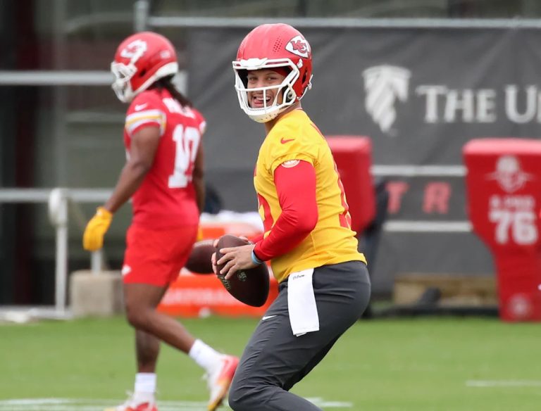 MINICAMPS Necessary NFL: bosses, crows, rams among the many final 5 camps that happen