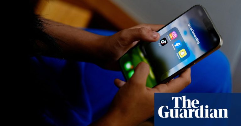 The method reveals defects of the know-how designed to use the Australian socialization prohibition for beneath 16 | Social Media