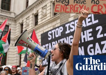 The international workplace has instructed to order a resignation after you’ve questioned British politics to Gaza | Public service