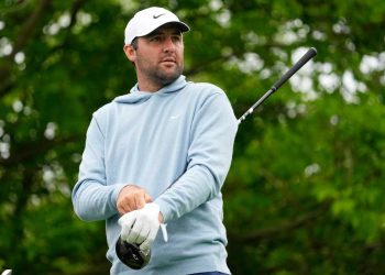 Ryder Cup sends a transparent message after Scottie Scheffler Information