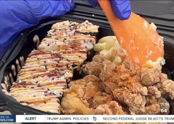 Metropolis Heights avenue meals competition raises funds for neighborhood growth – Yahoo