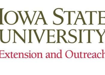 Study to assist somebody in disaster with Psychological Well being First Help | Information