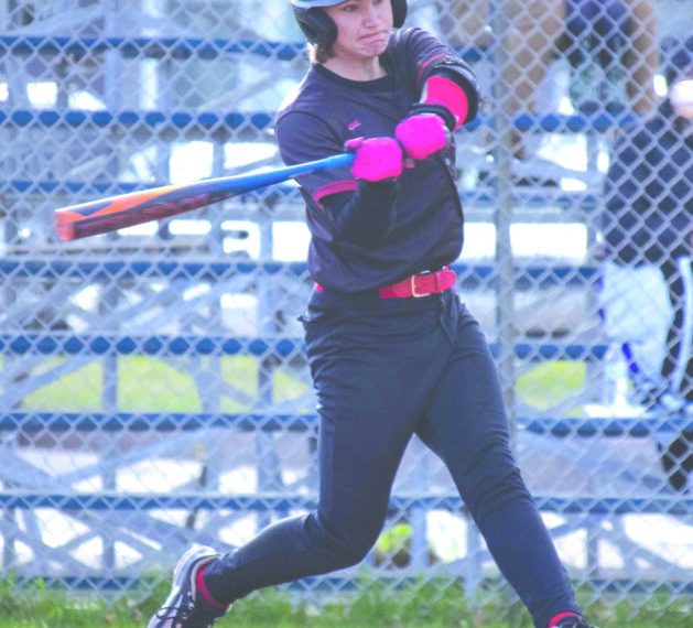 Sheltrow, Jezewski Lead 7 Sentinels honored in Baseball GNC | Information, sports activities, jobs