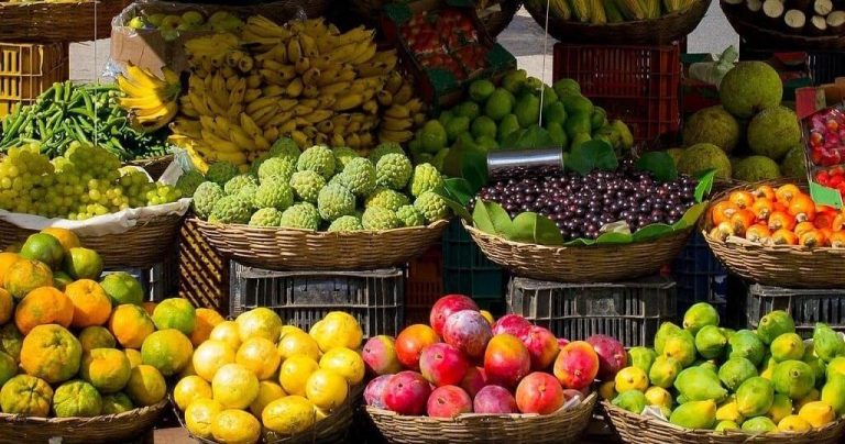 Save meals from landfills at Borderlands’ Saturday occasions in Arizona | Arizona Information
