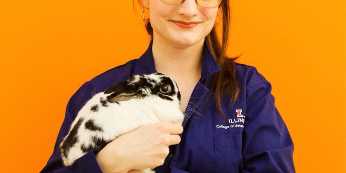 Pet Discuss | Wholesome habits for pet rabbits | Pets