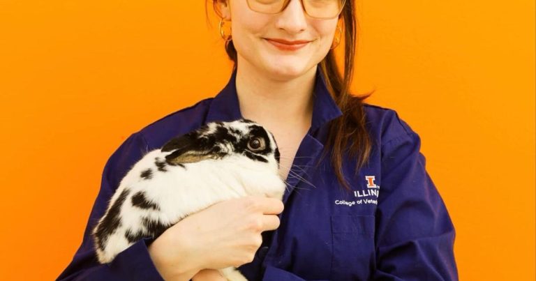 Pet Discuss | Wholesome habits for pet rabbits | Pets