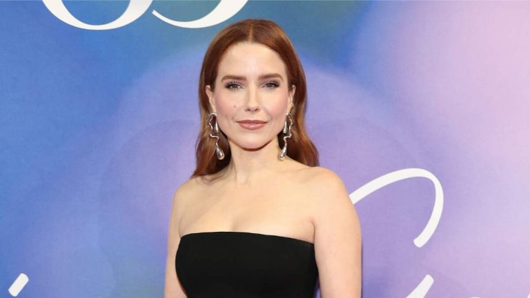 Sophia Bush Recollects Being In ‘Bodily Hell’ Working Whereas On Poisonous Set