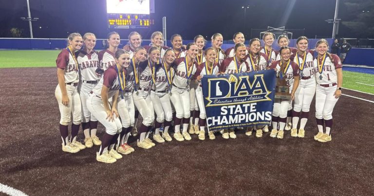 The Delaware Senate requests the revision of the public-private college sports activities disappearance | Information