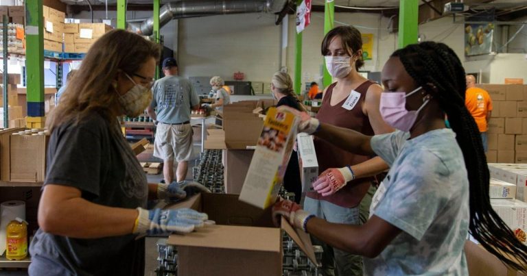Blue Ridge Meals Financial institution meals drive hauls in additional than 91Okay kilos – The Each day Progress