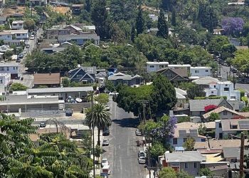 Street Journey Information of the Summer season: Mimi Slawoff publishes her newest journey e book | Arts and Tradition