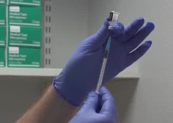 Washington sees surge in whooping cough instances, well being officers urge vaccinations | Information