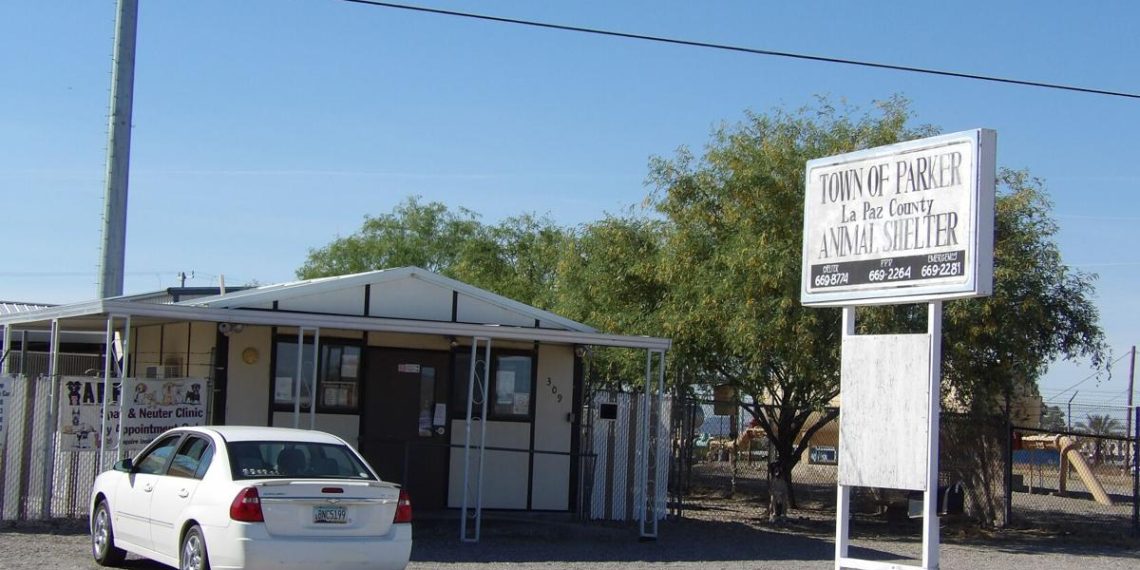 Animal Shelter wants pet food and pet provides – Parker Pioneer