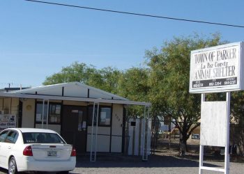 Animal Shelter wants pet food and pet provides – Parker Pioneer