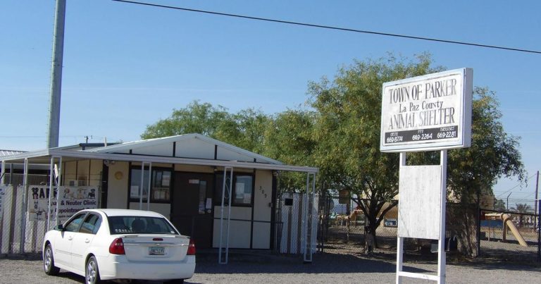 Animal Shelter wants pet food and pet provides – Parker Pioneer