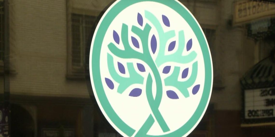 New Rockford initiative bridges well being hole for violence survivors | Information