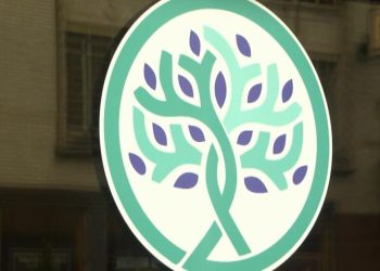 New Rockford initiative bridges well being hole for violence survivors | Information