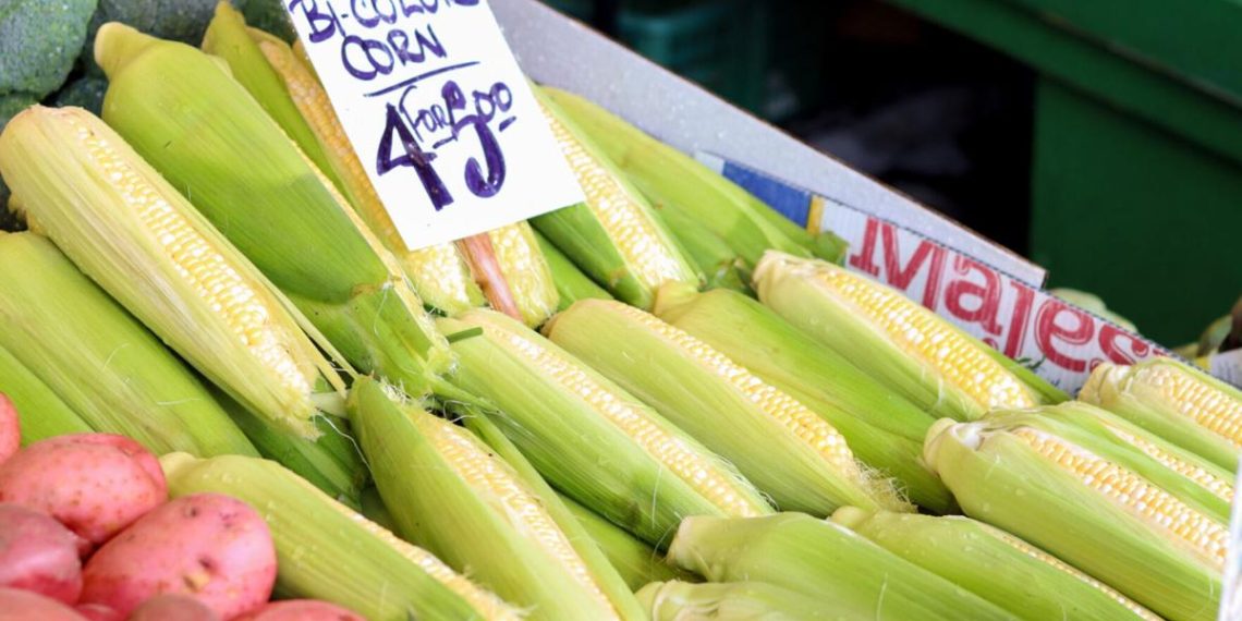 Farm Bureau report: Iowa customers fear about government-caused will increase in meals prices | Information