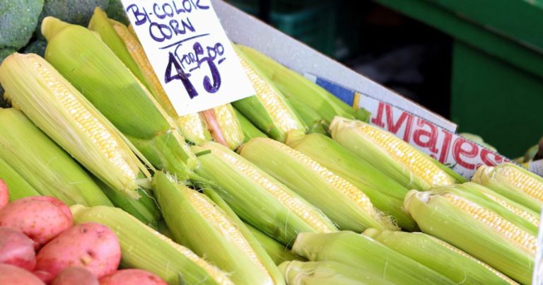 Farm Bureau report: Iowa customers fear about government-caused will increase in meals prices | Information