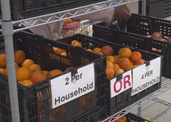 NC meals pantries warn Trump SNAP invoice may minimize assist, shift prices to states