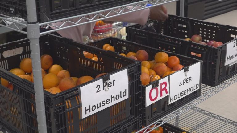 NC meals pantries warn Trump SNAP invoice may minimize assist, shift prices to states
