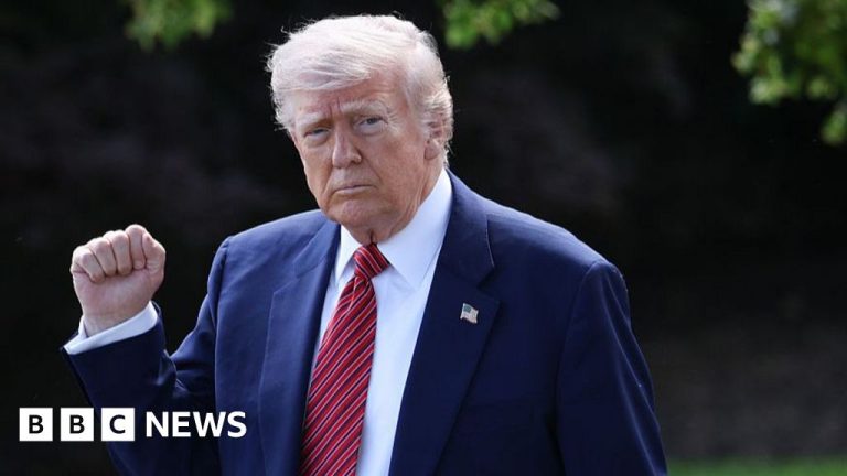Trump’s charges can keep within the nation now, the foundations of the Court docket of Attraction