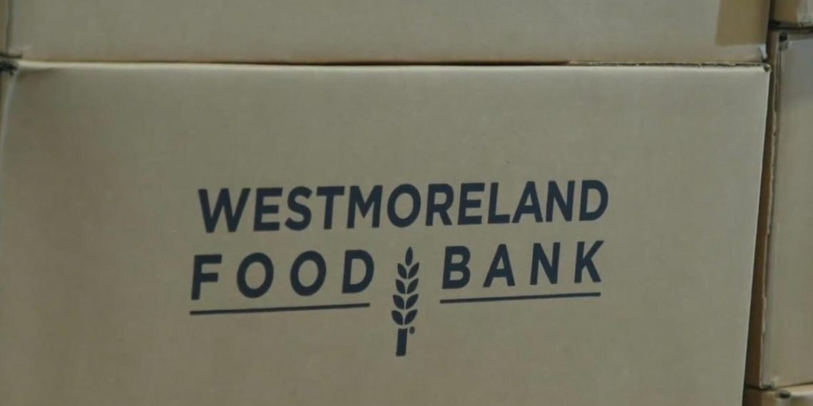 Meals banks fear about cuts to SNAP in federal authorities’s proposed finances invoice