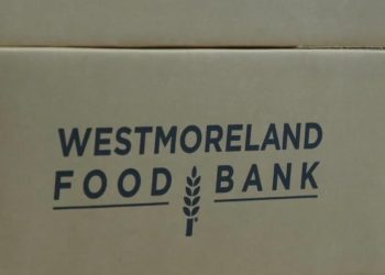 Meals banks fear about cuts to SNAP in federal authorities’s proposed finances invoice
