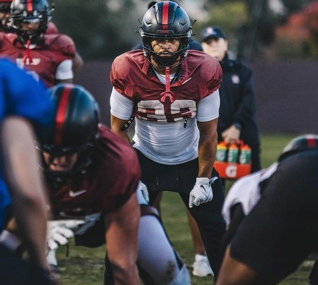 Vote for Day by day Information Males’s Sports activities of the Yr for 2024-2025