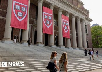 The choose briefly blocks Trump’s ban on international Harvard college students