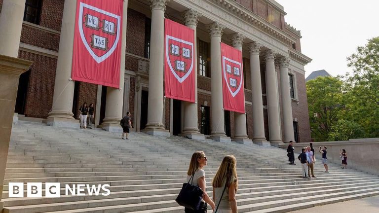 The choose briefly blocks Trump’s ban on international Harvard college students