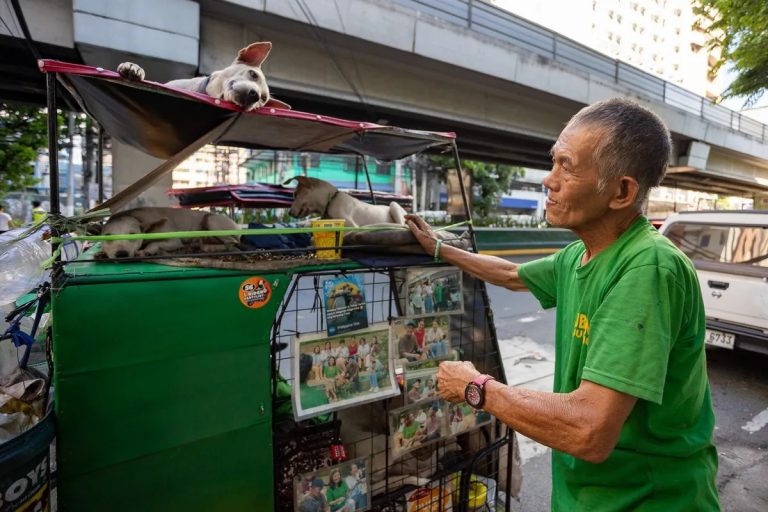 Furparent Tatay Carlos will get new cell dwelling for him and his 6 canines – ABS-CBN