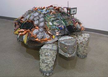 Las Vegas Museum reveals turtle exhibition infused with expertise