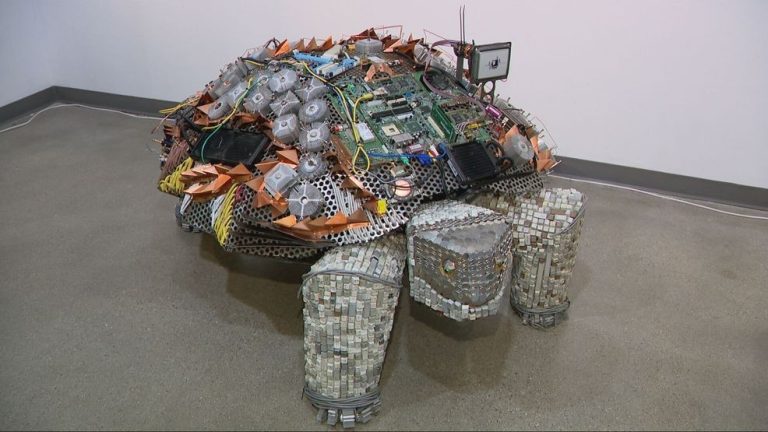 Las Vegas Museum reveals turtle exhibition infused with expertise