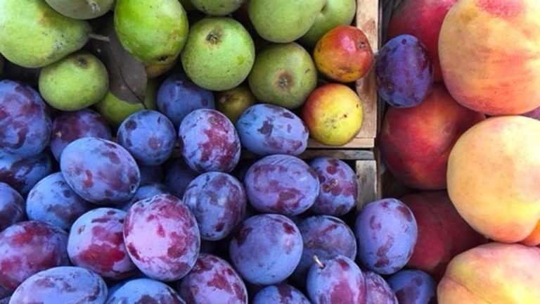 Farm Bureau report: Iowa customers fear about government-caused will increase in meals prices – KGAN