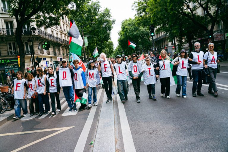 Israel stops the Fleet of Freedom in worldwide waters, be humanitarian assist for Gaza