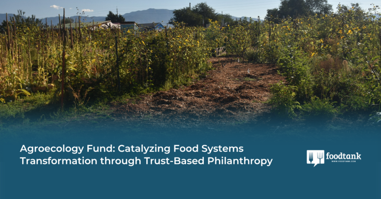 Catalyzing Meals Programs Transformation via Belief-Primarily based Philanthropy – Meals Tank