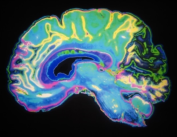 More healthy way of life decisions may mitigate telomere length-associated mind illness dangers
